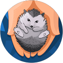 ʕ·ᴥ· ʔ ʕ ́•ᴥ•`ʔ profile picture